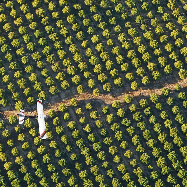 drones in agriculture